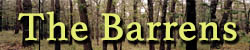 Pine Barrens